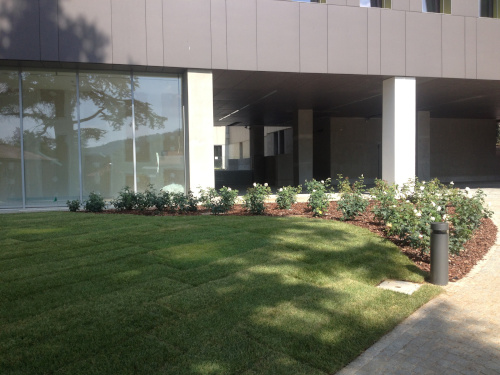 aLLeSTiMeNTo AZieNDe