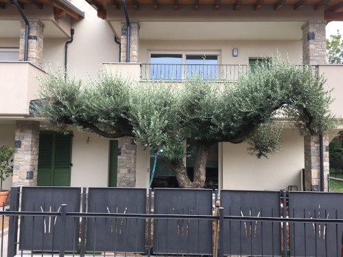 aLLeSTiMeNTo ESeMPLaRi