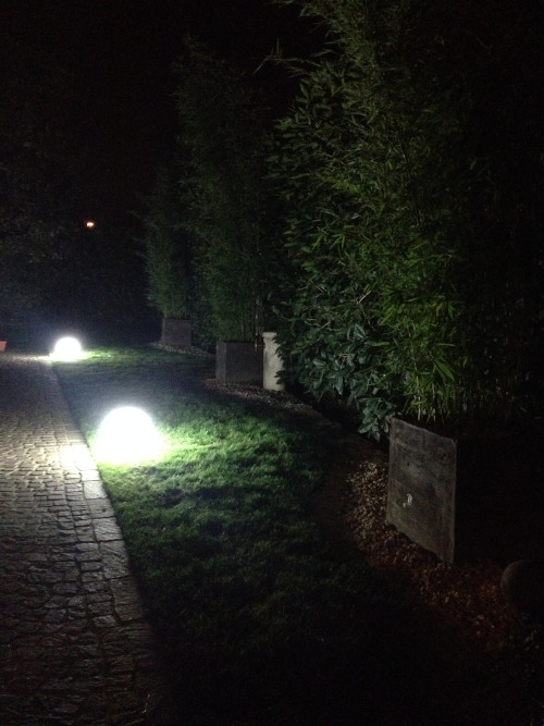 iLLuMiNaZiONi GiaRDiNi